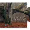 DVD La Forêt des Carnutes