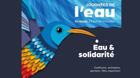 Journée Mondiale de l'Eau 2025