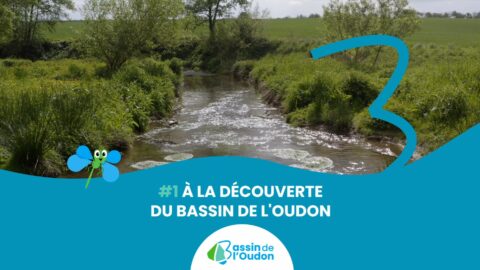 A la Découverte du Bassin de l'Oudon
